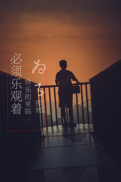 海航和天津航空哪个好，一场关于航空服务的精彩对决，让你看完不再纠结！