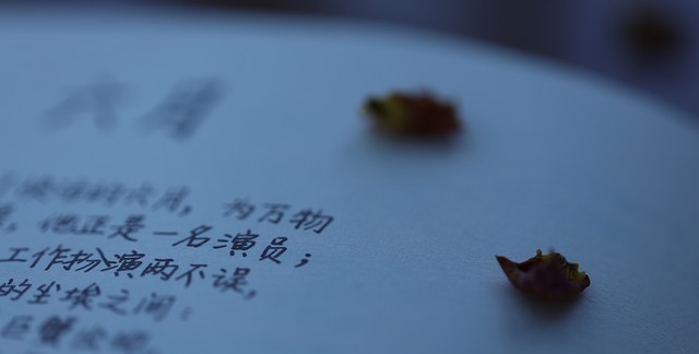 大理祥云租车：从机场到洱海的每一步都是风景，一次难忘的自驾之旅
