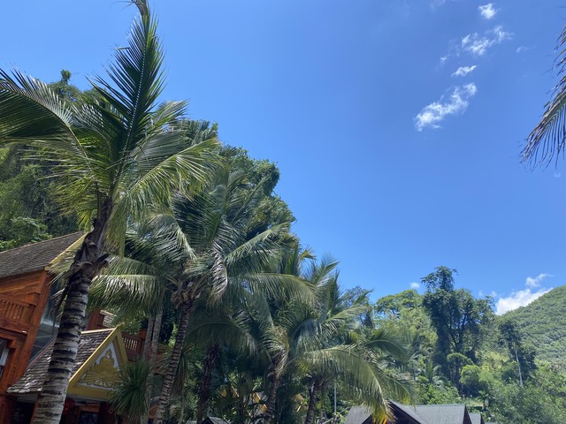 西双版纳旅游最好月份，错过这5个月，你可能再也找不到这样的热带天堂