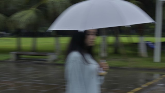颖而出下雨天：当城市被雨水洗礼，那些平凡中的不凡故事悄然绽放