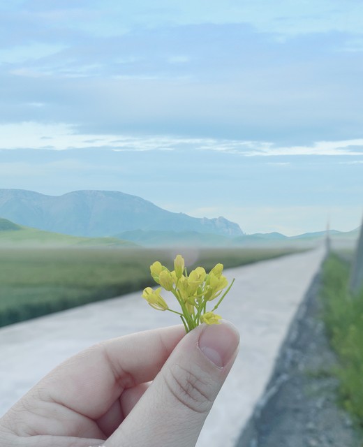 喜欢去云南旅游的人，那些被《去有风的地方》点燃梦想的灵魂，你是否也在其中？