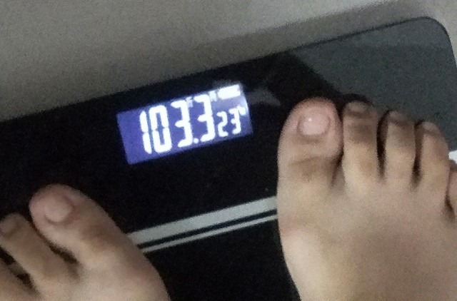 夏天去老君山怎么样？带你领略清凉避暑的仙境之旅，体验不一样的夏日风情，感受老君山的神秘与魅力