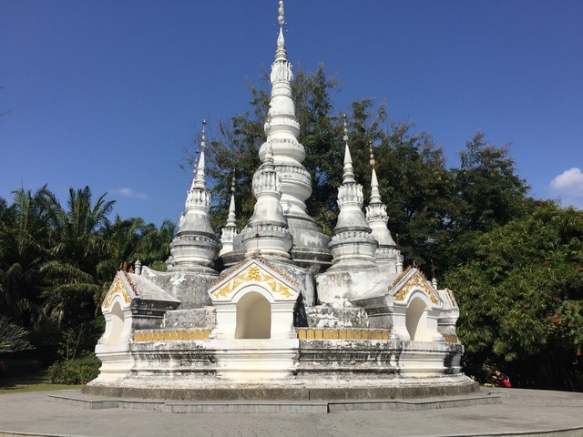 西双版纳三天自驾旅游：从都市的喧嚣到热带雨林的心跳，一场说走就走的冒险之旅