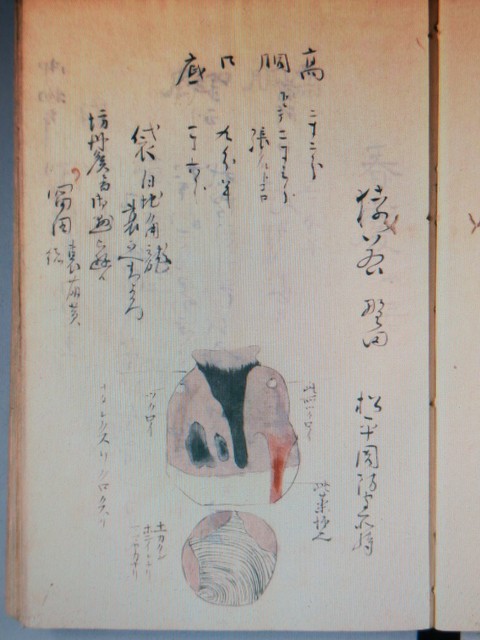 洪门背后：从古代秘密社团到现代文化符号，一段跨越三百多年的传奇故事——前世今生洪