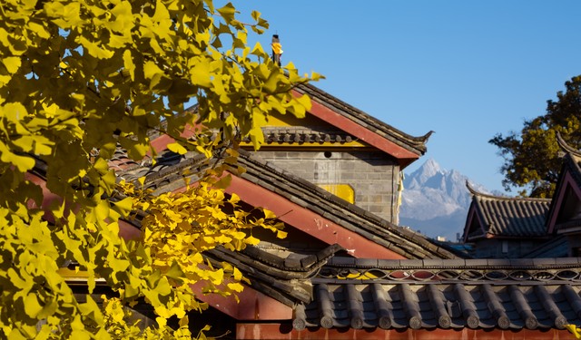当踏入丽江古城樱花餐厅，仿佛穿越时空的隧道，迎接你的不仅是那漫天飞舞的樱花瓣，还有那一道道令人垂涎欲滴的传统美食