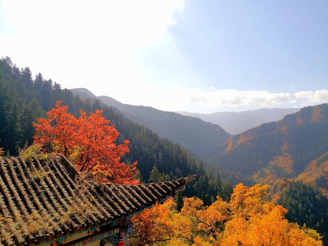兰州石佛沟怎么样：探索这座隐藏在黄土高原上的绿色宝藏，感受不一样的西北风情，体验大自然的鬼斧神工与人文历史的完美结合