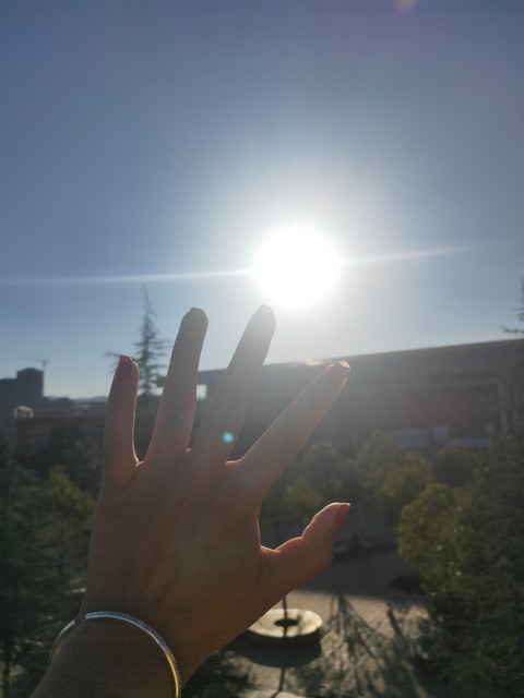 西双版纳主要景点旅游攻略：一场说走就走的热带雨林之旅，让你彻底爱上这片神奇的土地！