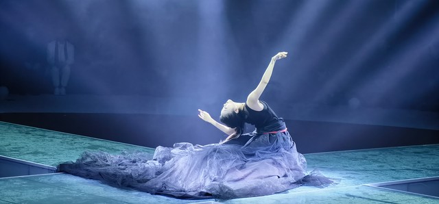 当杨丽萍的“孔雀窝”遇见丽江：一场民族艺术与现代商业的美丽邂逅