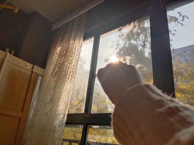 北京海娃幼儿园怎么样？家长们的真心话大揭秘，从入园难到教育理念，再到孩子们的日常点滴，这里有一切你想知道的秘密！