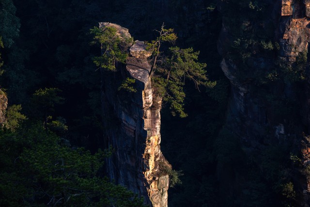 当袁家界遇上时间：下山之路的奇妙探险，你准备好了吗？