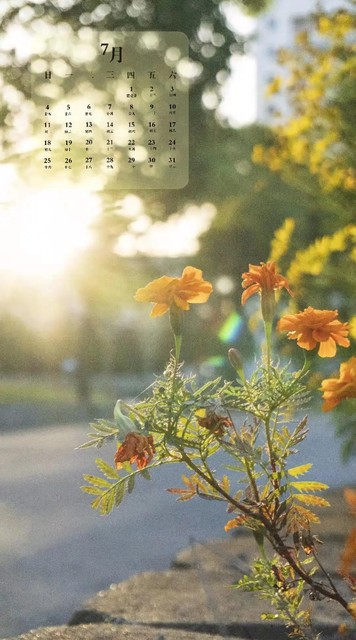 冲击心灵的云南之旅：哪个月份去云南旅游好？三月至五月，九月至十一月，春花秋月不容错过！