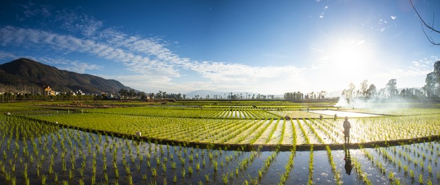 昆明市乡村生态旅游：从“网红”小渔村到生态明珠的华丽蜕变，看海晏村和牛恋小渔村如何用绿色绘就乡村振兴新篇章！