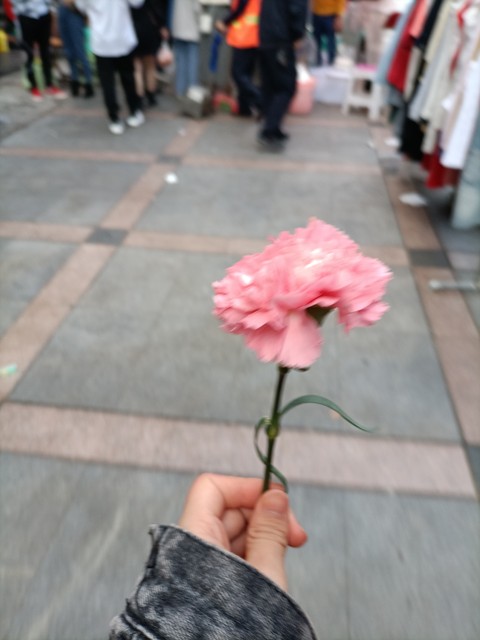 双廊，大理的隐世桃源：从繁华到宁静，你愿意花多久时间来寻找心中的那片海？