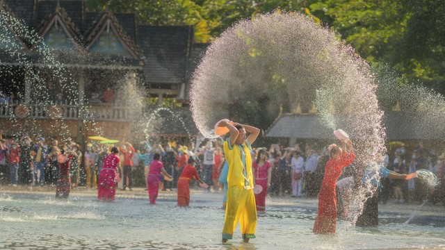 云南光芒山景点介绍：探秘茶山秘境，邂逅千年古树与神秘傣家风情