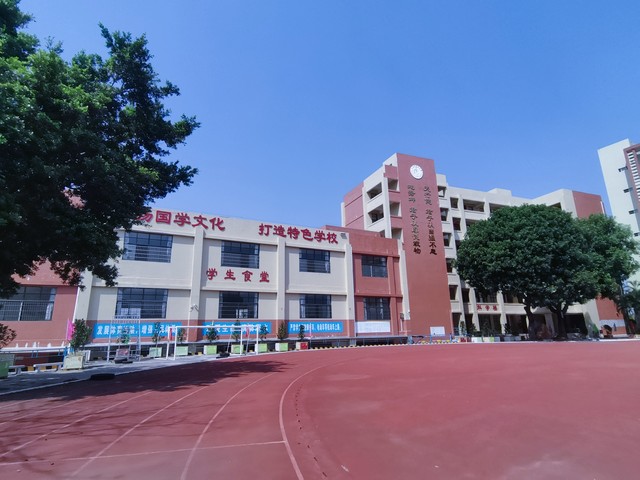 郑州百花路小学怎么样？揭开这所艺术特色小学的神秘面纱，看它如何用音乐与色彩编织孩子们的梦想