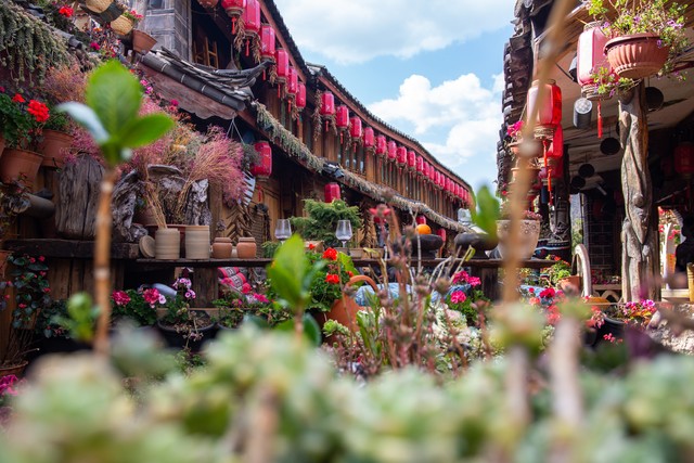 八月丽江旅游旺季，一场说走就走的旅行，让你爱上这座古城！