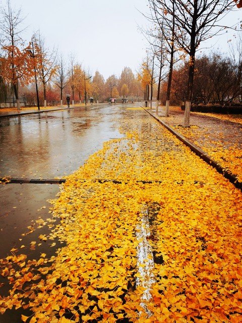 一场秋雨一场凉，唤醒了沉睡的大地与心灵