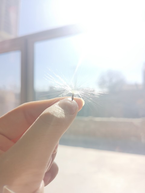 当你站在柔软的沙滩上，海风轻拂，那一刻世界都安静了