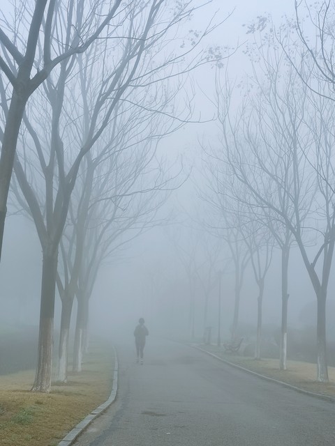 温州哪里有花海？2024年春天不容错过的十大赏花圣地，带你走进如诗如画的花的世界