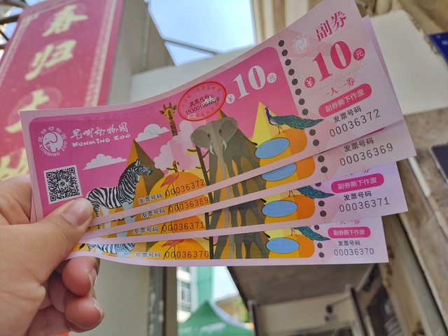 福州至丽江旅游价格大揭秘：从3000元起享受一场说走就走的浪漫之旅，带你领略东南沿海到西南边陲的独特魅力，2024年最值得期待的旅行计划非它莫属