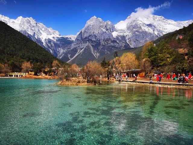 正月里云南旅游青岛，双城魅力齐绽放，带你领略不一样的新春风情