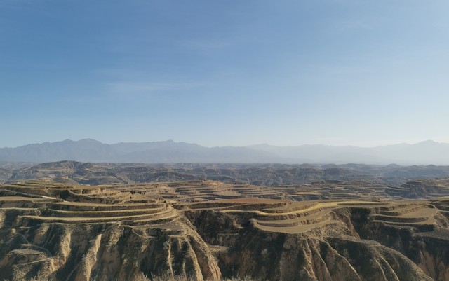 丽江千亩花海：从贫瘠荒山到绚烂如画的奇迹，你绝对想不到这片土地曾经的模样！