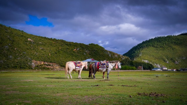 自驾云南旅游景点大全：从昆明出发，一路向北，穿越大理、丽江、香格里拉，直抵泸沽湖与元阳梯田的梦幻之旅，让你体验一次难忘的心灵洗礼