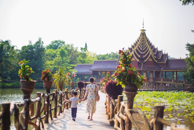 西双版纳旅游三日游：探索热带雨林秘境，体验傣族风情，享受悠闲时光的最佳攻略