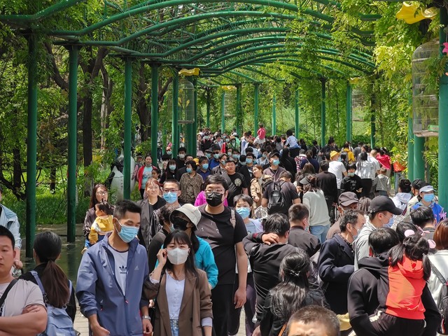 广州有哪些地？从千年商都到现代都市，这些地方你一定要去！广州塔、白云山、珠江夜游、越秀公园、陈家祠、镇海楼、五仙观、宝墨园、沙面、长隆、岭南印象园、沙湾古镇、黄埔军校、南海神庙、中山纪念堂、石室圣心大教堂、西汉南越王博物馆、农民运动讲习所旧址、从化温泉……每一个地方都是广州的名片，每一处风景都承载着历史与文化的厚重。今天，就带你走进广州的那些必去之地，感受这座城市的独特魅力！