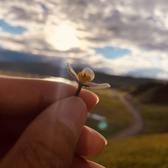 腾冲八月份适合旅游吗？八月的腾冲，是花的海洋，是心的栖息地！