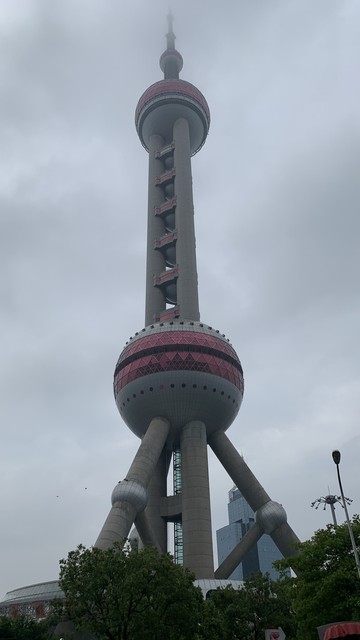 明珠你相信吗？70岁的董姐用行动证明，年龄只是数字，奋斗才是永恒的青春密码，她如何带领格力电器走向辉煌，又怎样激励每一位追梦人？