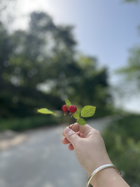 香格里拉旅游穿什么衣服？带你领略四季变换下的时尚穿搭指南，让你成为旅途中最亮眼的存在！