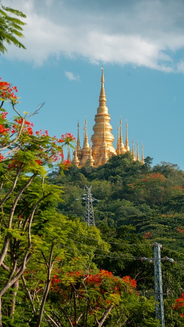 从景洪到傣族园的奇幻之旅：揭开西双版纳神秘面纱，探索傣族园怎么走的秘密