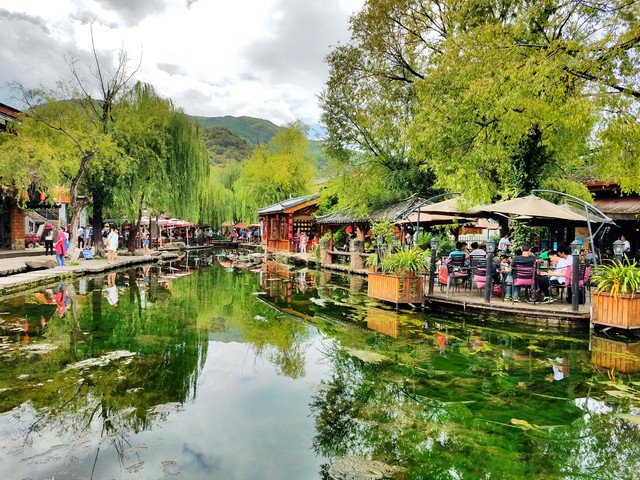 去云南旅游买点什么好？探寻彩云之南的宝藏特产，让每一次旅行都充满惊喜与回忆