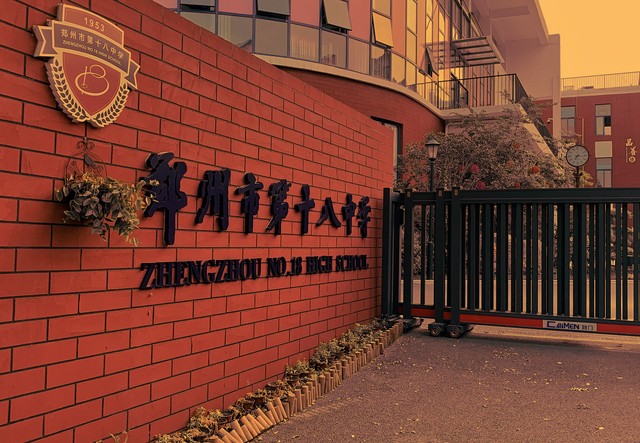 郑州鹤立小学怎么样：从家长的真实反馈到学校的独特魅力，这所学校究竟有何特别之处？
