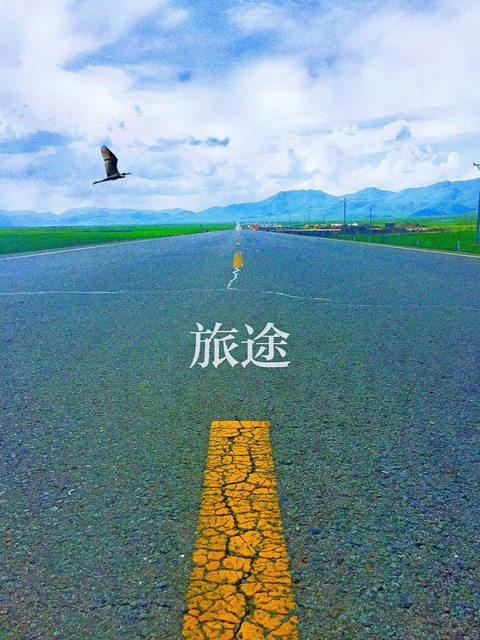 湛江到版纳旅游价格：一场说走就走的旅行，只需准备这些钱！——真实游客经历分享，带你走进热带雨林的心跳之旅