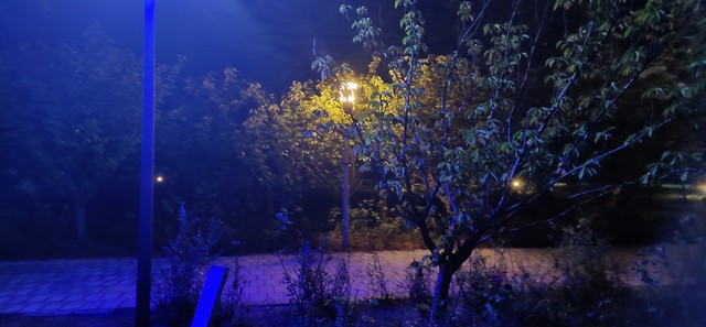 十一适合穿什么衣服？2024年最新时尚指南，让你在这个黄金周既保暖又时髦，轻松应对多变天气，玩得尽兴！