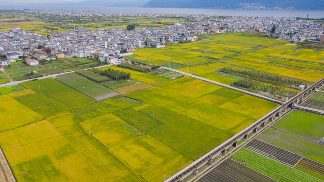 大理乡村旅游庄园：从古老白族村落到现代田园综合体，一场关于乡愁与梦想的华丽转身