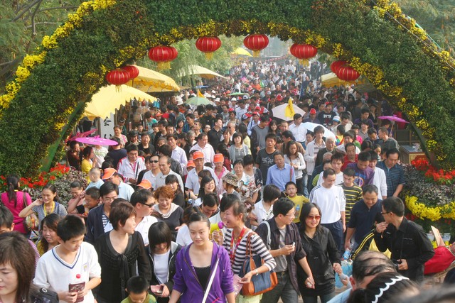 旅游接待人次丽江：从谷底到巅峰，这座古城如何用热情迎接每一位远道而来的客人