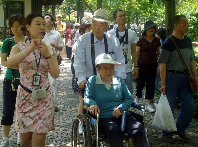 丽江黑旅游团：一场旅行的噩梦与官方的雷霆行动——游客如何避免落入低价陷阱？