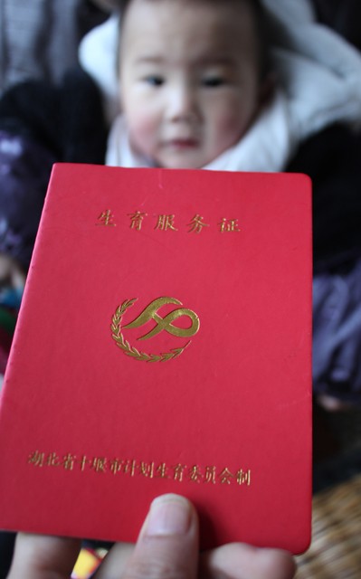 生育登记服务，从今以后，你的每一个小生命都将拥有最温暖的起点——轻松几步，在家就能搞定生育登记，让爱延续，幸福不等待！