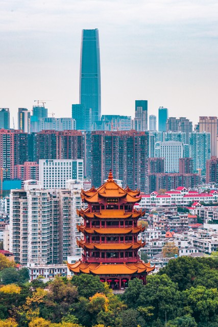 武汉人能去云南旅游吗？2024年最新政策、交通攻略、必游景点与超实用旅行小贴士，带你畅游彩云之南，享受无尽美景与风情