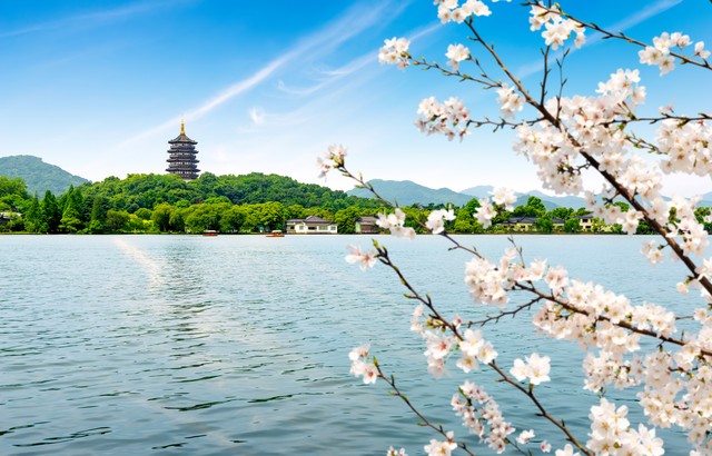杭州西湖门票多少钱？2024年最新免费政策与热门景点玩转攻略，带你畅游人间天堂！