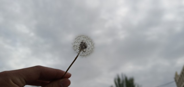 哪里可以玩跳伞？带你领略高空的惊险与浪漫，感受心跳加速的瞬间，让你的旅行不再平凡！