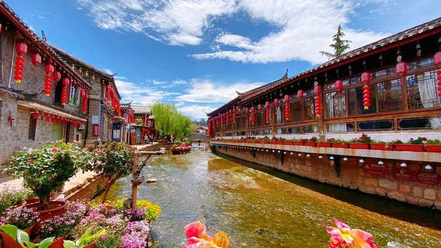 云南旅游车收入下降，背后究竟发生了什么？一场旅游行业的深刻变革正在上演