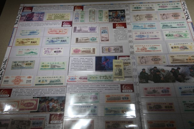 年票深圳为什么？一张年票背后的秘密，带你揭开深圳旅游的神秘面纱，让你不再犹豫，立刻行动！