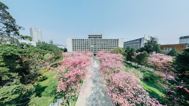 昆明市西南林业大学：绿色梦想从这里启航，为地球献上一份绿意