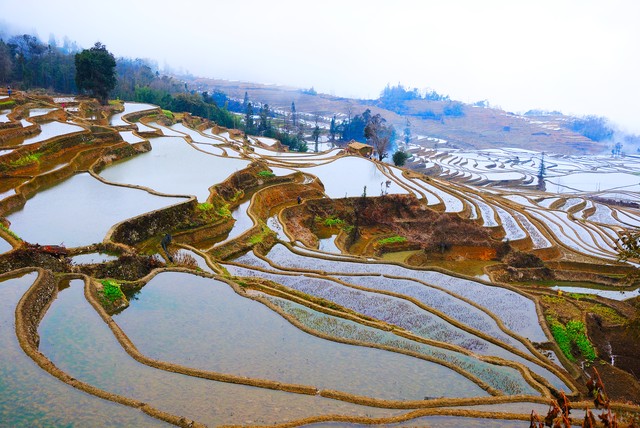 云南镇元县旅游景点：从哀牢山脚下的哈尼梯田到云端之上的梦幻奇观，一场不容错过的视觉盛宴