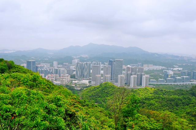 南山是哪个省的城市？深圳南山：从古老渔村到世界级创新中心的华丽转身