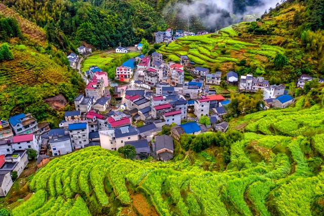 共绘乡村振兴：从舞钢市到全国，看基层治理与特色产业如何携手创造美好生活